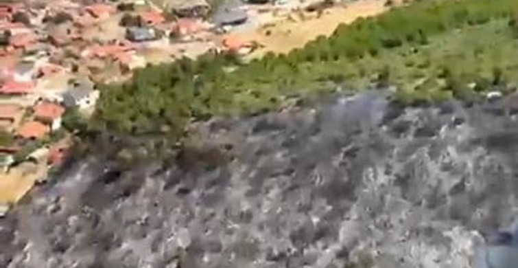 Balıkesir’deki orman yangını kontrol altına alındı