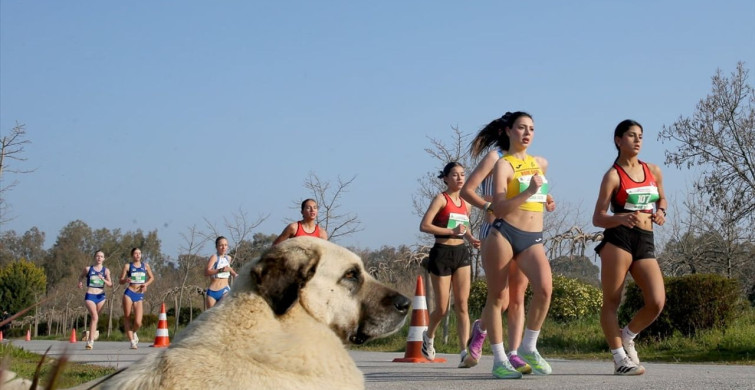 Balkan Yürüyüş Şampiyonası İzmir'de Gerçekleşti