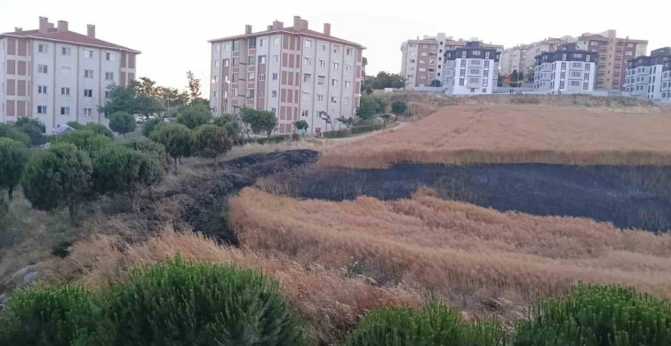Bandırma'da buğday tarlasında yangın kontrol altına alındı
