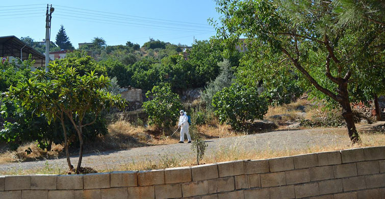 Bartın'da 4 Mahalle Karantina Altına Alındı