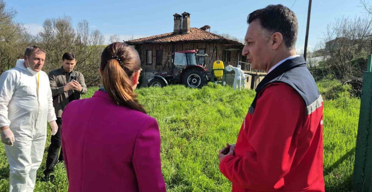 Bartın'da Kahverengi Kokarca İstilasına Karşı Kış Uykusu İlaçlaması