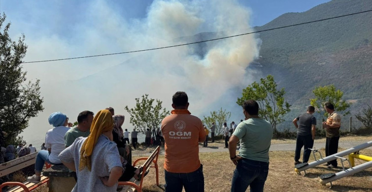 Bartın'da Orman Yangınına Hızla Müdahale Ediliyor