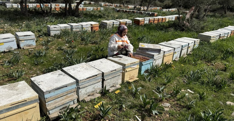 Başarılı Genç Arıcı: Latife Gül Kaplan'ın Hikayesi