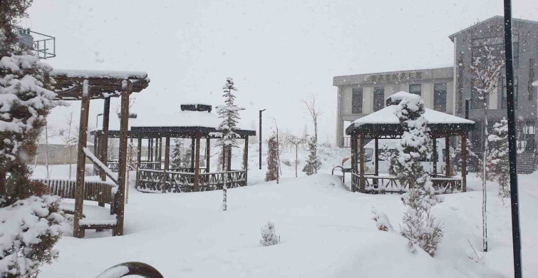 Başkale'de Kar Yağışı Etkili Oldu