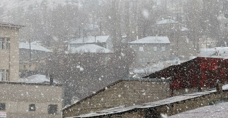 Başkale'de Kar Yağışı Hayatı Olumsuz Etkiledi
