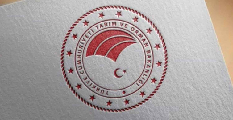 Başkan Erdoğan'ın imzasıyla Bakan Yardımcılarına yönelik atama kararları Resmi Gazete'de yayımlandı!