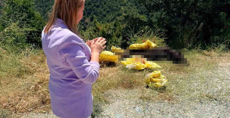 Başkan Tekin, yol kenarına bırakılan hayvan leşine sert tepki gösterdi