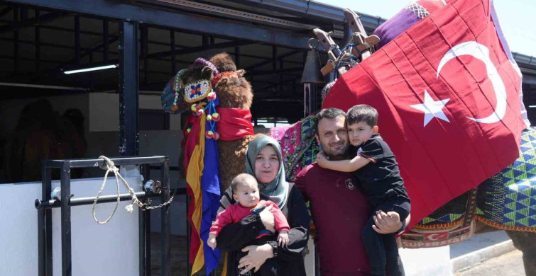 Başkent'te Kurban Pazarı Açıldı: Develere Büyük İlgi