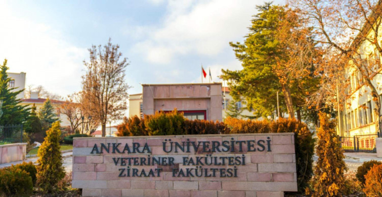 Başvuru tarihleri ve şartlar açıklandı: 1000’e yakın personel alınacak