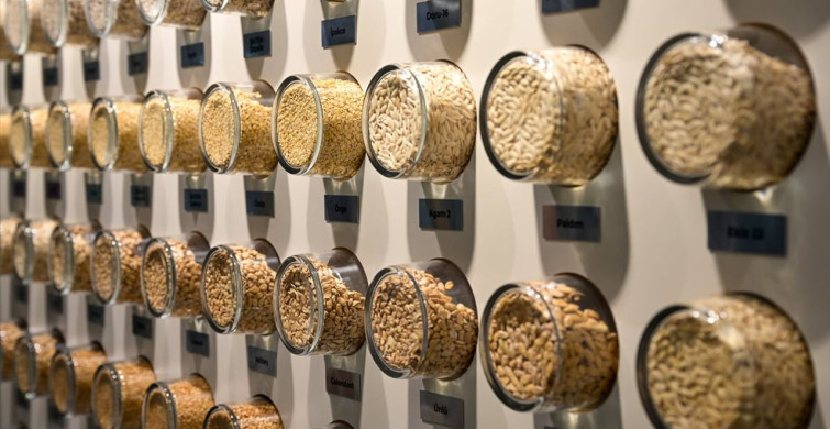 BATEM'in Yerli Sebze Tohumları İhracata Açılıyor