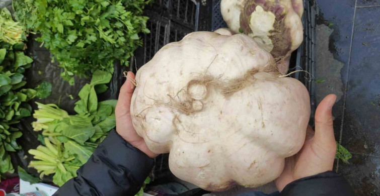 Batman'da 4 Kilogram Ağırlığında Dev Turp Görenleri Şaşırttı