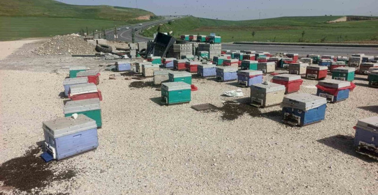 Batman'da Araç Arızası Binlerce Arının Ölümüne Neden Oldu