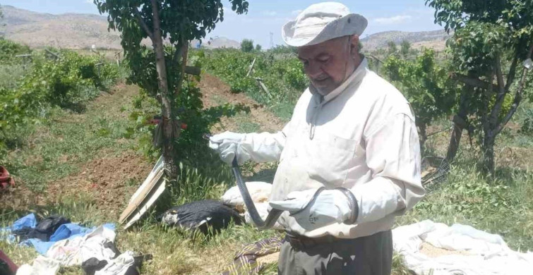 Batman’da bir vatandaş yakaladığı yılanı doğaya bıraktı