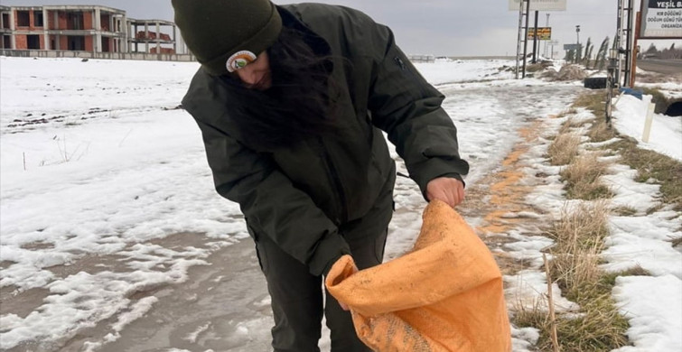 Batman'da Kuşlar için Yem Bırakıldı