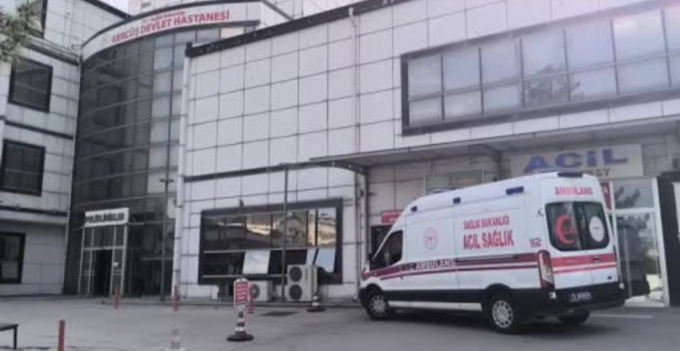Batman'da Mantar Zehirlenmesi: 82 Yaşındaki Adam Hastaneye Kaldırıldı