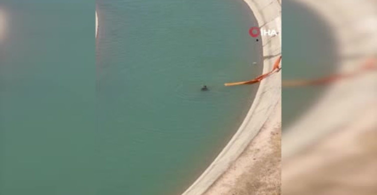 Batman'da sulama kanalında boğulma tehlikesi: 2 kişi son anda kurtarıldı