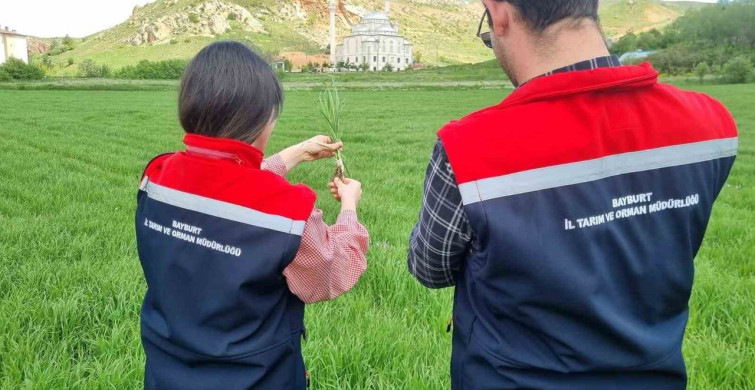 Bayburt'ta ÇKS Ürün Beyanı Kontrolleri Başladı