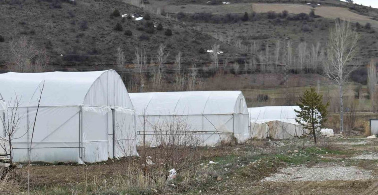 Bayburt'ta Eko-Köy 2 Projesi ile Sebze Üretimi Artacak
