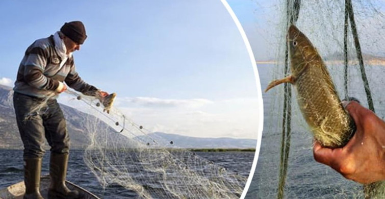 Bayburt'ta İç Sularda Balık Avı Yasağı Başladı