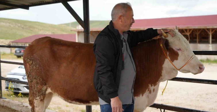 Bayburt'ta Kurban Pazarında Hareketlilik