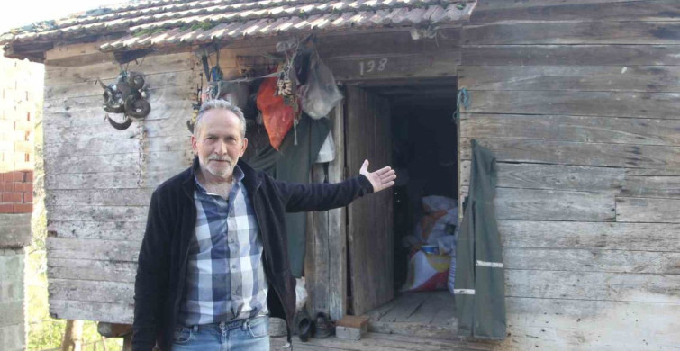 Baykuş ile Çiftçinin 20 Yıllık Dostluğu: Her Yıl Aynı Yuvaya Dönüş