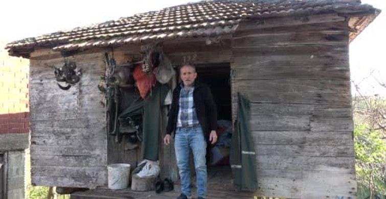 Baykuşların 20 Yıllık Doğal Yuva Hikayesi