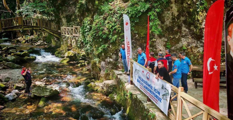 Bayramiç'te 50 Bin Kırmızı Benekli Alabalık Yavrusu Salındı