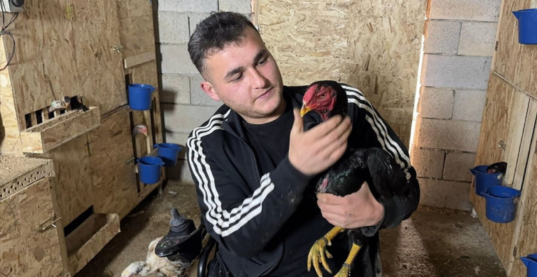 Bedensel Engelli Genç Osman Altun'un Hayvancılık Serüveni