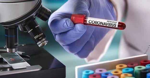 Belçika'da Coronavirüs Nedeniyle 74 Ölüm Daha Yaşandı
