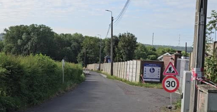 Belçika'da vakıf kültürü ve kamu gücü iş birliği sokak köpeği varlığını engelliyor