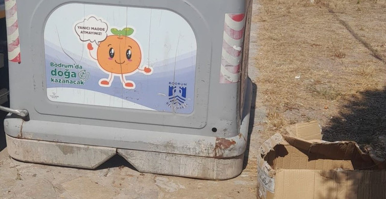 Belediye ekibinin dikkati yavru kedileri hayata bağladı