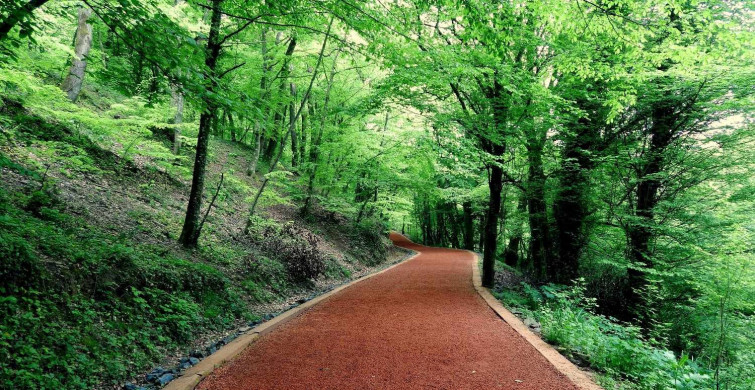 Belgrad Ormanı giriş ücreti ne kadar? 2022 Belgrad Ormanı araç giriş ücret bilgiler