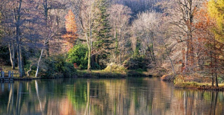 Belgrad Ormanı giriş ücretleri ne kadar? Belgrad Ormanı giriş ücretlerine zam mı geldi, girişler ne kadar oldu, kaç TL?
