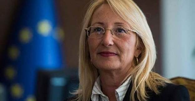 Beril Dedeoğlu Kimdir?