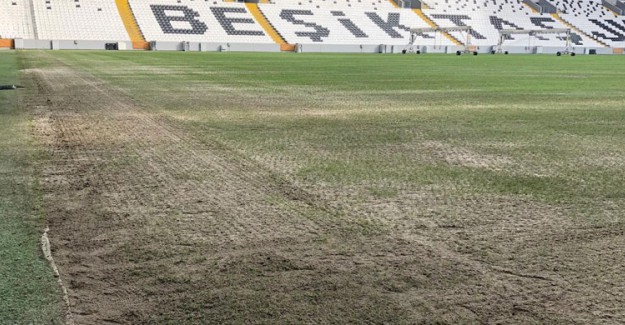Beşiktaş'tan Vodafone Park'ın Zeminine 1.4 Milyonluk Bakım!