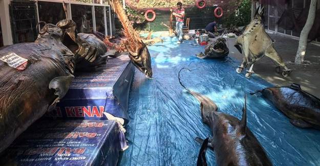 Beylikdüzü'ndeki Yaşam Vadisi'nde Türkiye'nin Tek Balıkçılık Müzesi