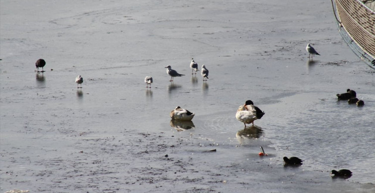 Beyşehir Gölü'nde Buzlanma Olayı