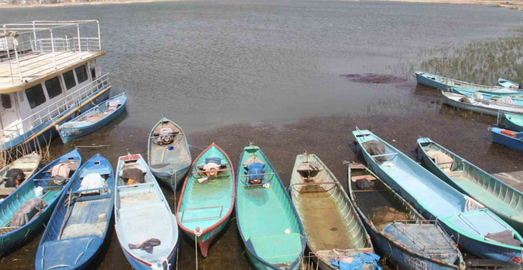 Beyşehir Gölü’ndeki Balıklar Kurtarıldı