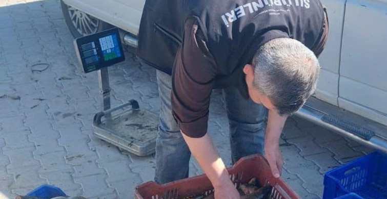 Beyşehir'de su ürünleri denetimleri sıklaşıyor