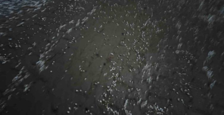 Beytüşşebap’ta Dolu Yağışı Beyaz Bir Manzara Oluşturdu