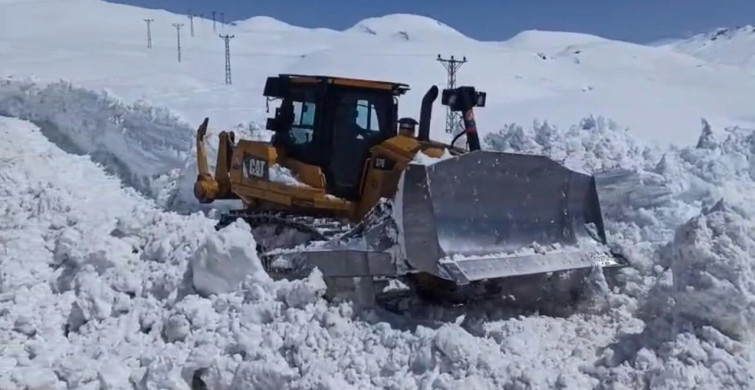 Beytüşşebap'ta Kar ve Bahar Aynı Anda Yaşanıyor