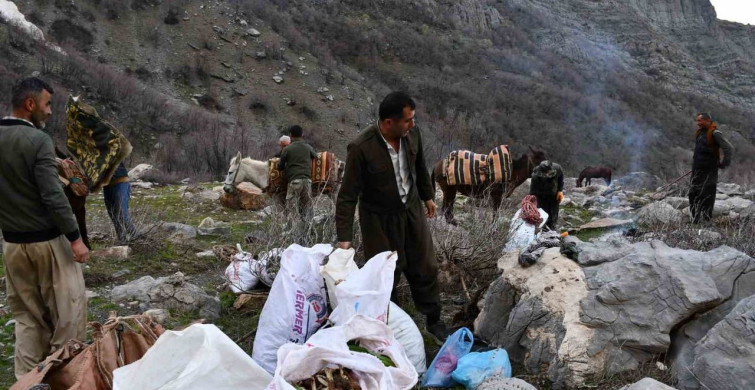 Beytüşşebap'ta Pancar Toplama Geleneği