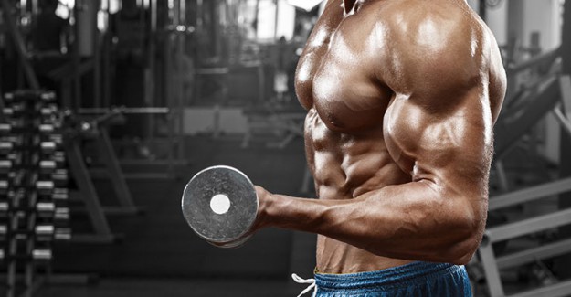 Biceps Hareketleri