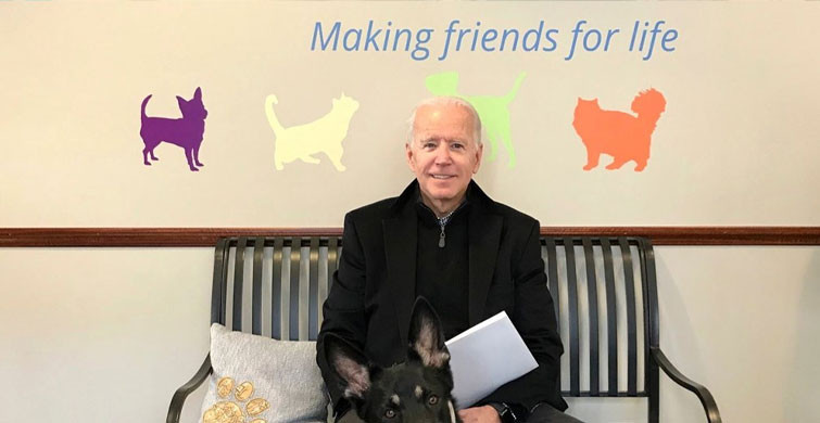 Biden'ın Köpeği, Beyaz Saray'ı Birbirine Kattı