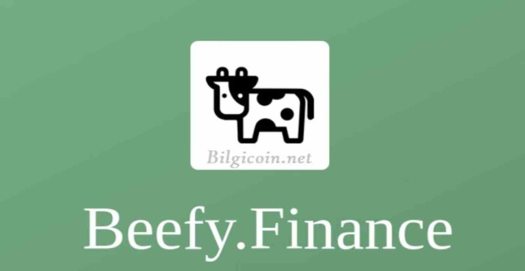 BIFI coin nedir? Beefy Finance coin projesi ve yol haritası