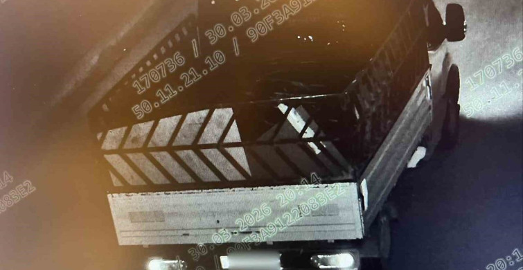 Bilecik'te 670 Bin TL'lik Elektrik Kablo Hırsızlığına Operasyon