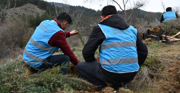 Bilecik'te 700 Fidan Dikti