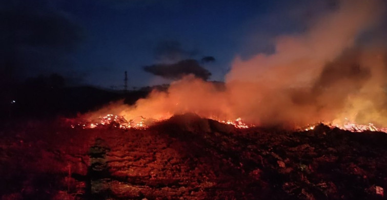 Bilecik'te Arazide Yangın Kontrol Altına Alındı