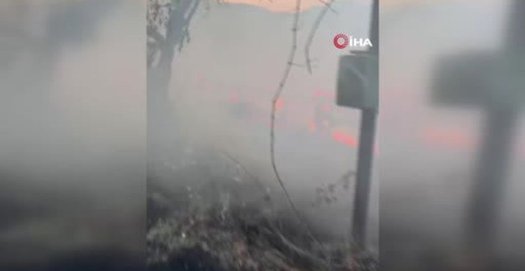 Bilecik'te bir ahır çıkan yangında kül oldu