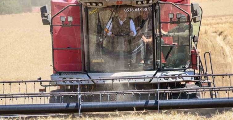 Bilecik'te bu yıl 335 bin dekar alanda 167 bin 500 ton buğday üretimi bekleniyor